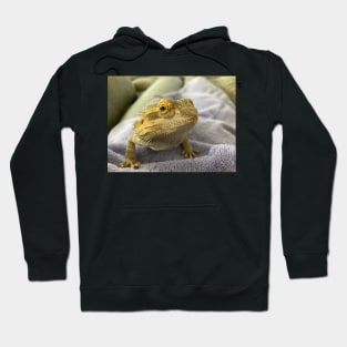 Drako the dragon Hoodie